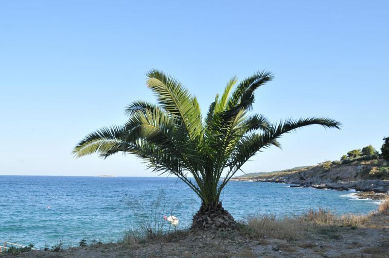 Vaggelis Traditional House Spetses Town ภายนอก รูปภาพ